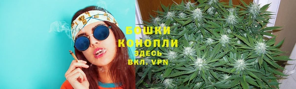 крисы Вязьма