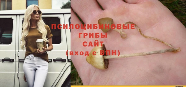 крисы Вязьма