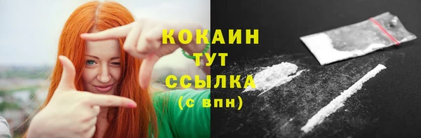 крисы Вязьма