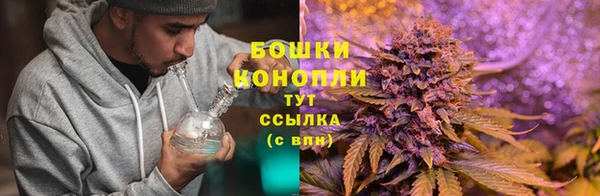 прущая мука Горно-Алтайск